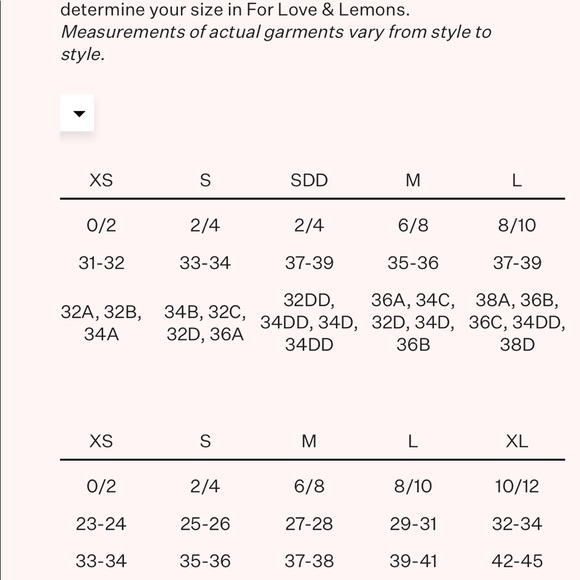 Vintage Eyelet Rose Thong and Bustier set - Picture 15 of 15